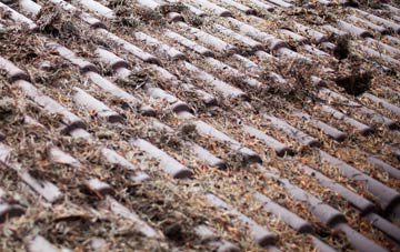 Spring Cottage roof cleaning companies